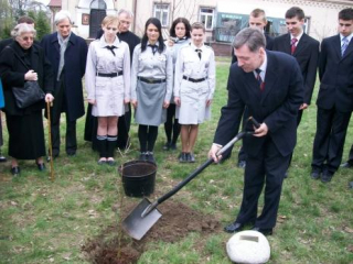Dąb katyński